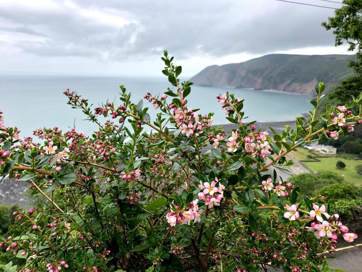 The North Cliff Hotel Lynton Exterior photo